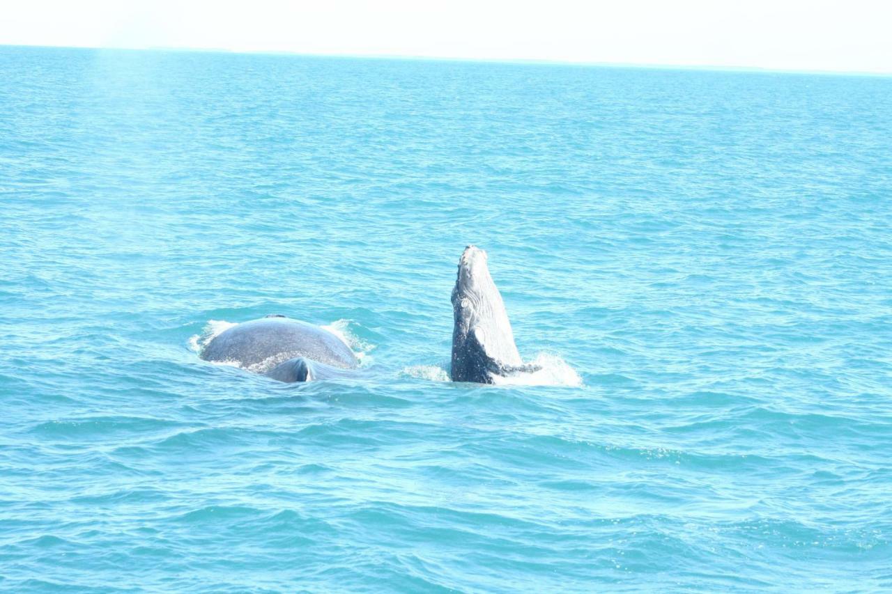 Pousada Areia Preta Cumuruxatiba Luaran gambar