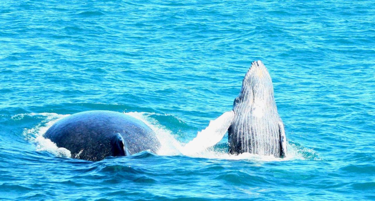 Pousada Areia Preta Cumuruxatiba Luaran gambar